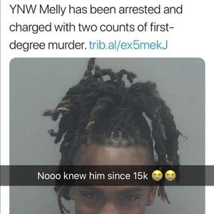 Meet your Posher, Ali